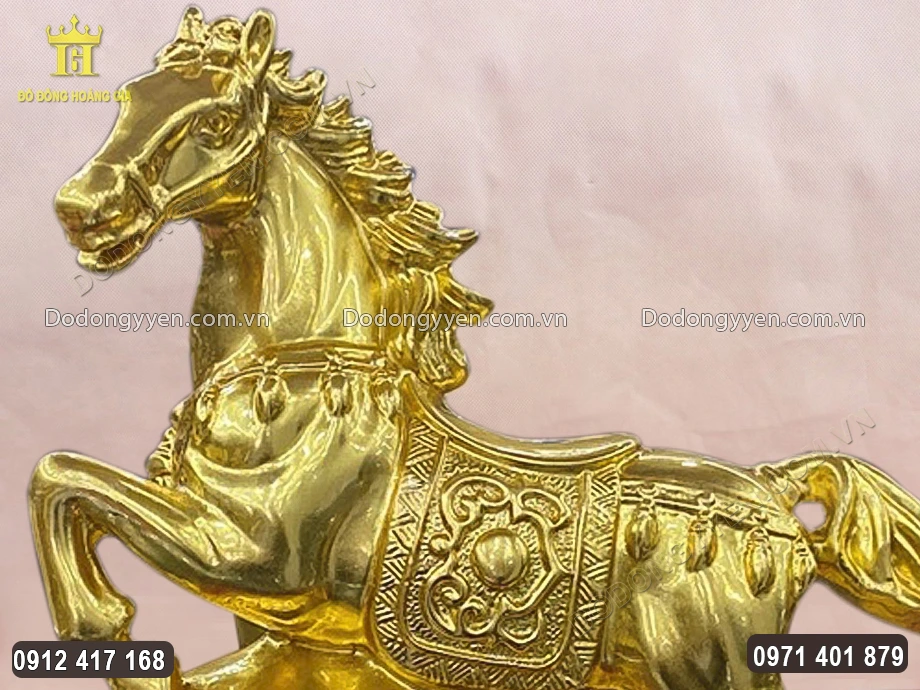 Đ&ocirc;i mắt ngựa mở to, đ&ocirc;i tai dựng đứng thể hiện sự tập trung cao độ